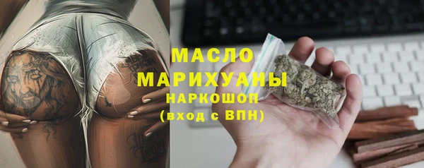 индика Вязьма
