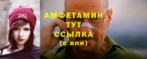 индика Вязьма