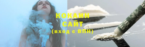 индика Вязьма