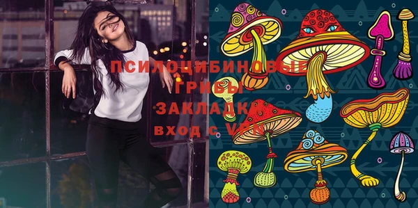 mdpv Сосновый Бор