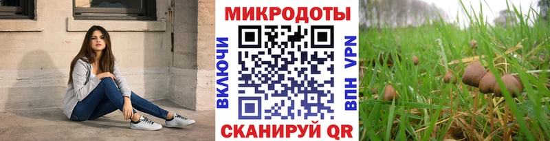 блэк спрут зеркало  Киселёвск  Псилоцибиновые грибы GOLDEN TEACHER 