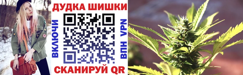 наркота Киселёвск МАРИХУАНА планчик